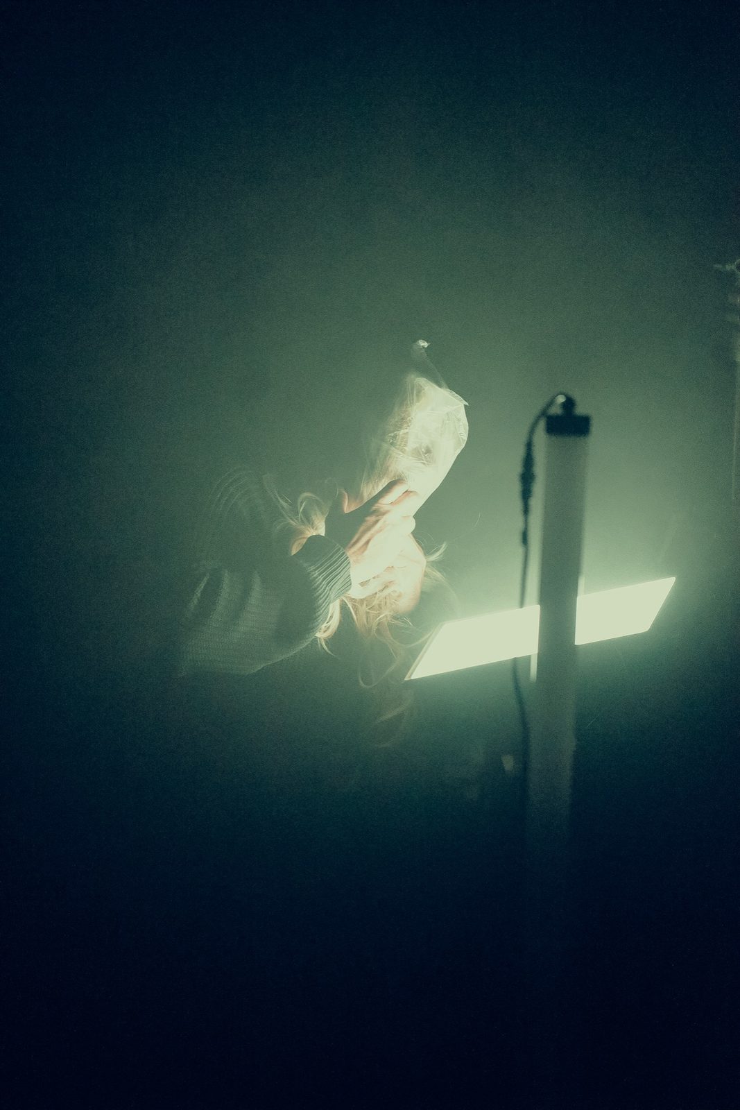 L’autre qui se pensait fleur (2026) — Mise en scène · Conception — 4